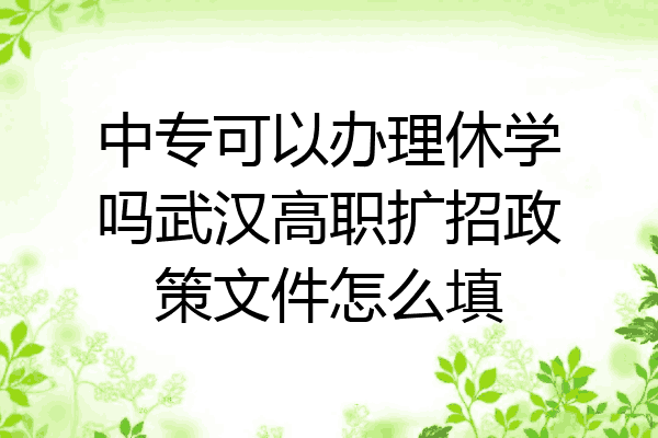 中专可以办理休学吗武汉高职扩招政策文件怎么填