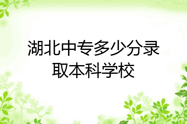 湖北中专多少分录取本科学校