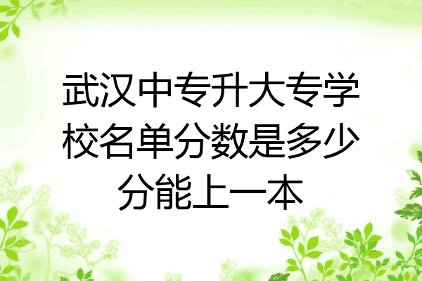 武汉中专升大专学校名单分数是多少分能上一本