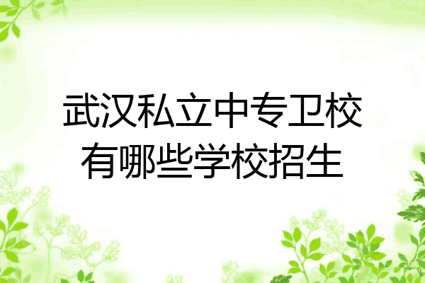 武汉私立中专卫校有哪些学校招生