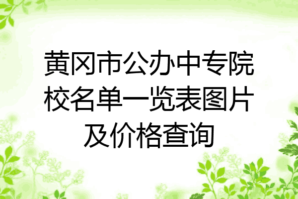 黄冈市公办中专院校名单一览表图片及价格查询