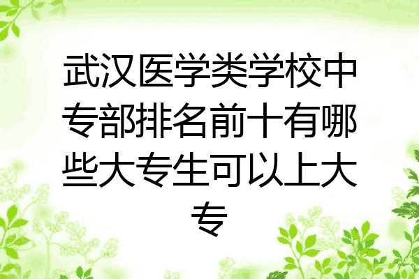 武汉医学类学校中专部排名前十有哪些大专生可以上大专