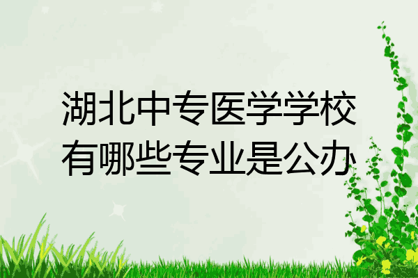 湖北中专医学学校有哪些专业是公办