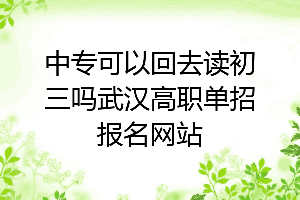 中专可以回去读初三吗武汉高职单招报名网站
