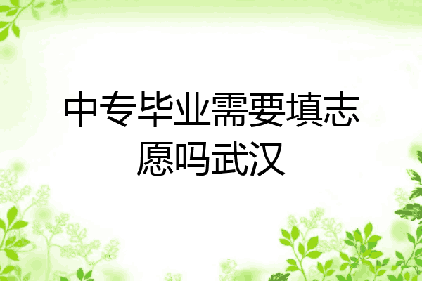 中专毕业需要填志愿吗武汉