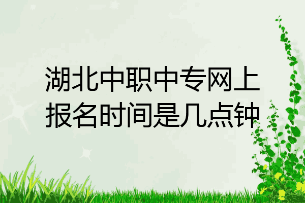 湖北中职中专网上报名时间是几点钟