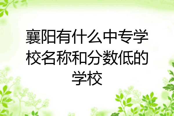 襄阳有什么中专学校名称和分数低的学校