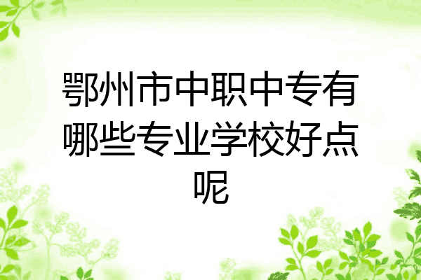 鄂州市中职中专有哪些专业学校好点呢