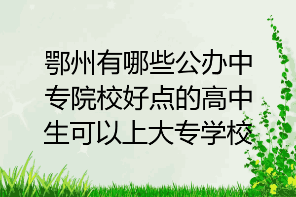 鄂州有哪些公办中专院校好点的高中生可以上大专学校