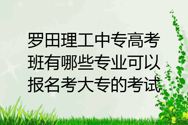 罗田理工中专高考班有哪些专业可以报名考大专的考试
