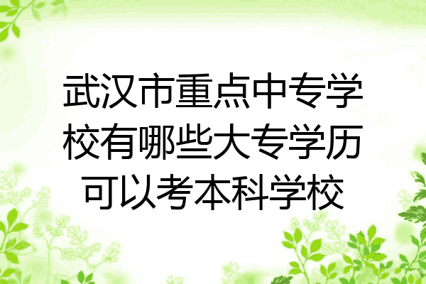 武汉市重点中专学校有哪些大专学历可以考本科学校