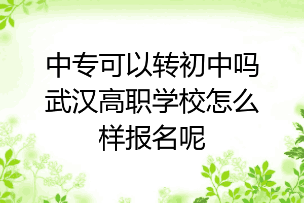 中专可以转初中吗武汉高职学校怎么样报名呢