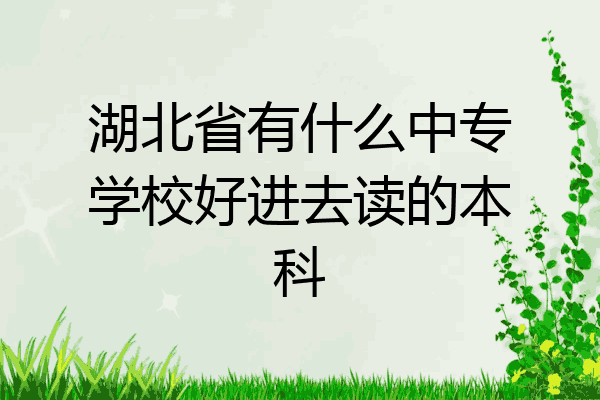 湖北省有什么中专学校好进去读的本科