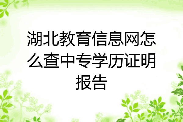 湖北教育信息网怎么查中专学历证明报告