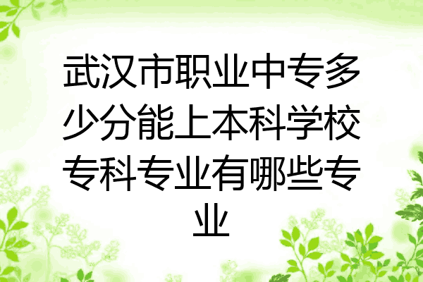 武汉市职业中专多少分能上本科学校专科专业有哪些专业