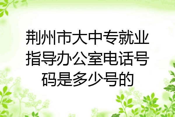 荆州市大中专就业指导办公室电话号码是多少号的