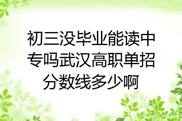 初三没毕业能读中专吗武汉高职单招分数线多少啊