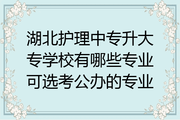 湖北护理中专升大专学校有哪些专业可选考公办的专业