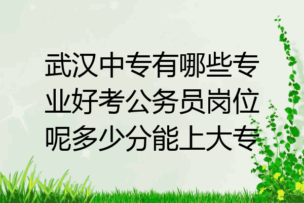 武汉中专有哪些专业好考公务员岗位呢多少分能上大专
