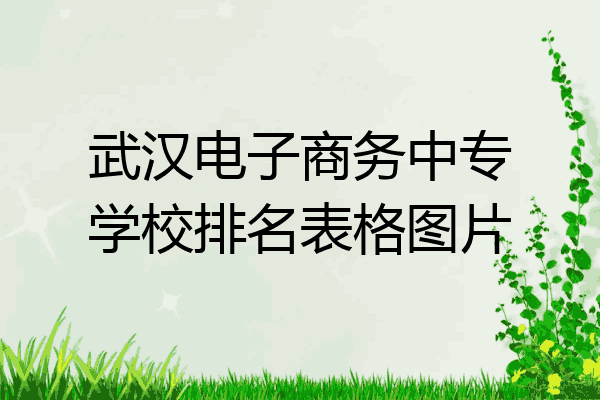 武汉电子商务中专学校排名表格图片