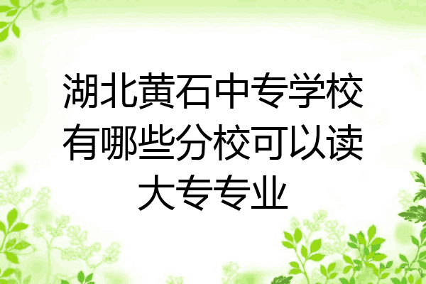 湖北黄石中专学校有哪些分校可以读大专专业