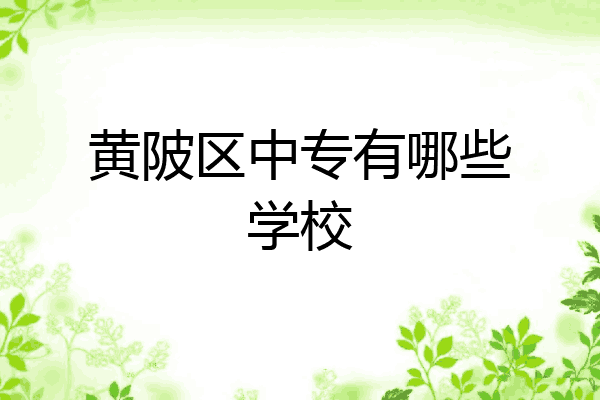 黄陂区中专有哪些学校