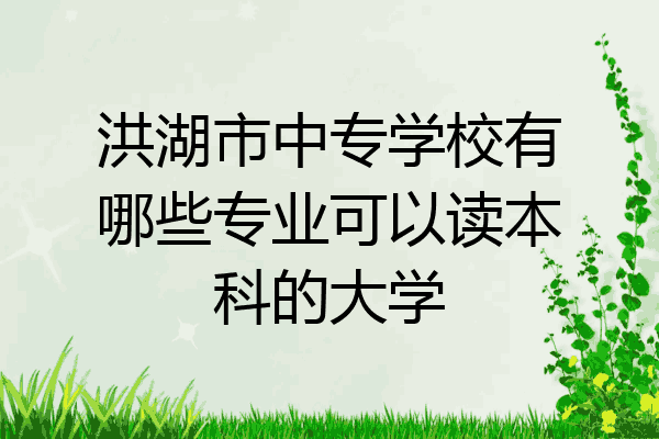 洪湖市中专学校有哪些专业可以读本科的大学