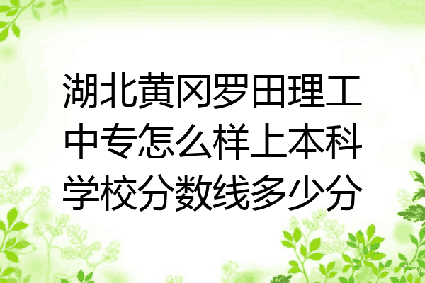湖北黄冈罗田理工中专怎么样上本科学校分数线多少分