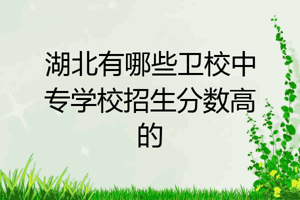 湖北有哪些卫校中专学校招生分数高的