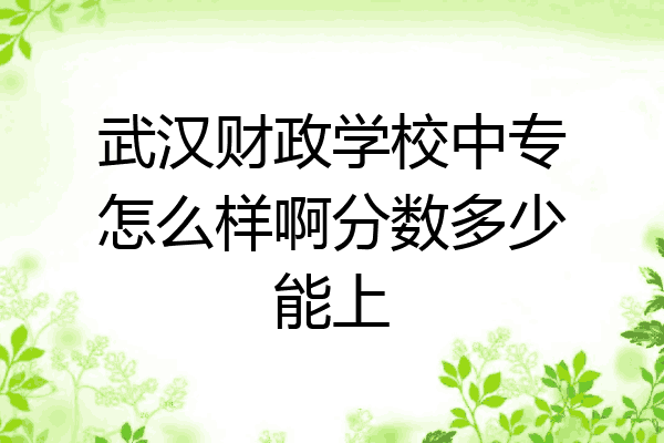 武汉财政学校中专怎么样啊分数多少能上