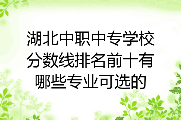 湖北中职中专学校分数线排名前十有哪些专业可选的