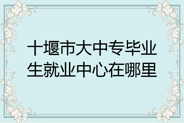 十堰市大中专毕业生就业中心在哪里