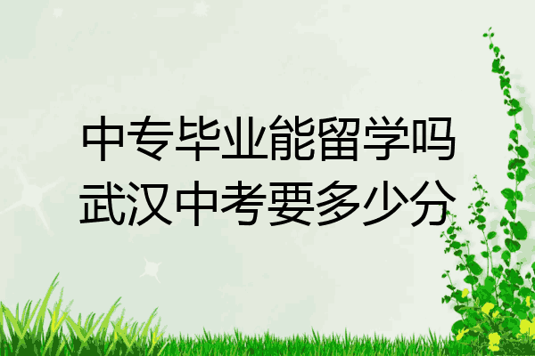 中专毕业能留学吗武汉中考要多少分