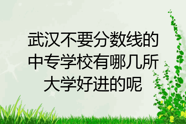 武汉不要分数线的中专学校有哪几所大学好进的呢