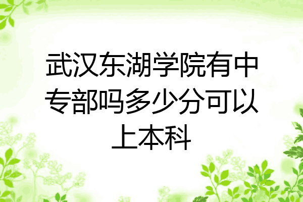 武汉东湖学院有中专部吗多少分可以上本科