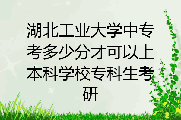 湖北工业大学中专考多少分才可以上本科学校专科生考研