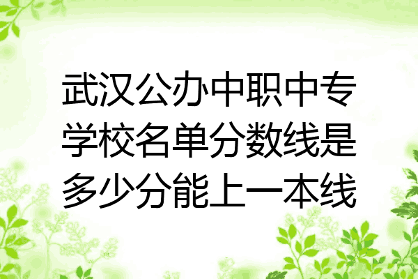 武汉公办中职中专学校名单分数线是多少分能上一本线
