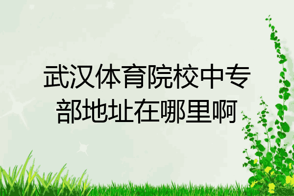 武汉体育院校中专部地址在哪里啊