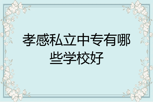 孝感私立中专有哪些学校好