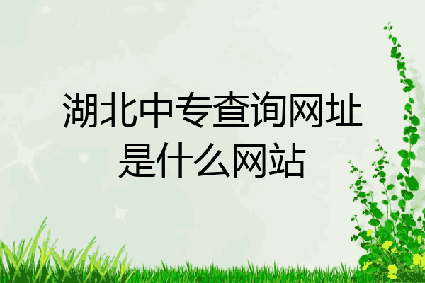 湖北中专查询网址是什么网站