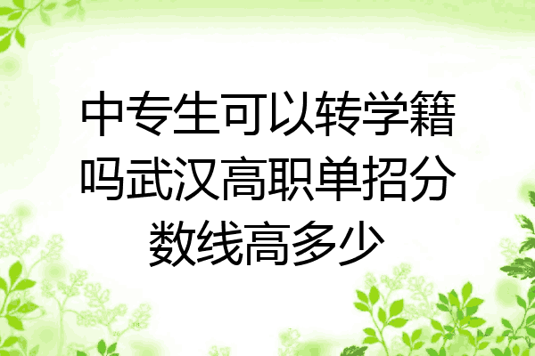 中专生可以转学籍吗武汉高职单招分数线高多少