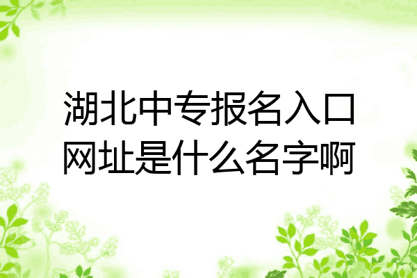 湖北中专报名入口网址是什么名字啊