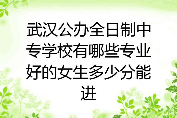 武汉公办全日制中专学校有哪些专业好的女生多少分能进