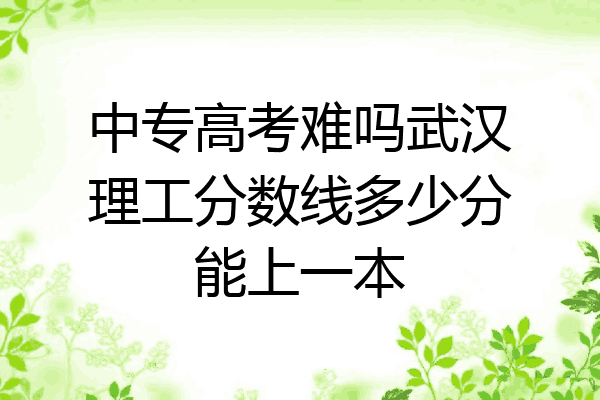 中专高考难吗武汉理工分数线多少分能上一本