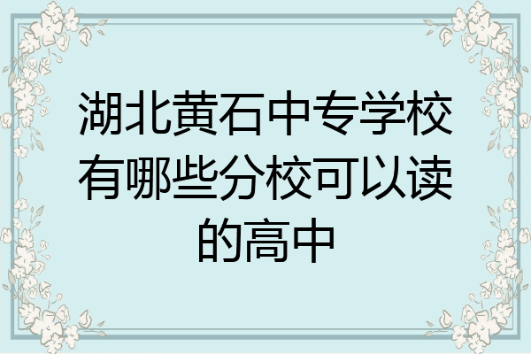 湖北黄石中专学校有哪些分校可以读的高中