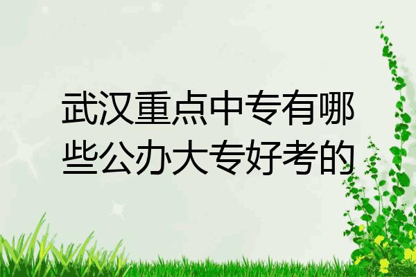 武汉重点中专有哪些公办大专好考的