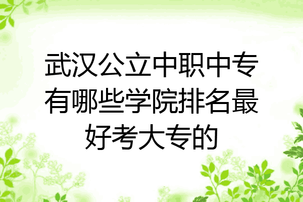 武汉公立中职中专有哪些学院排名最好考大专的