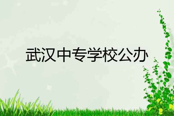 武汉中专学校公办