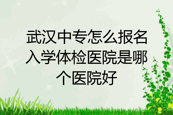 武汉中专怎么报名入学体检医院是哪个医院好