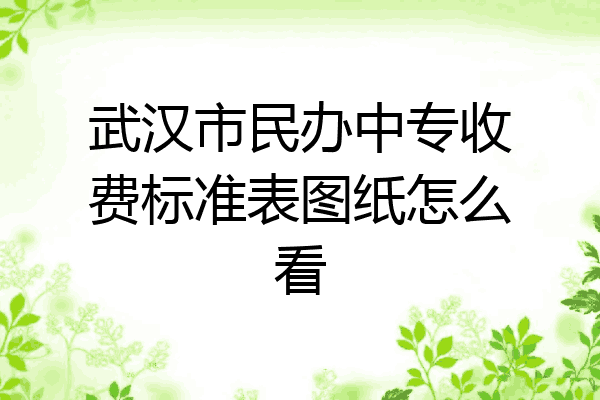 武汉市民办中专收费标准表图纸怎么看